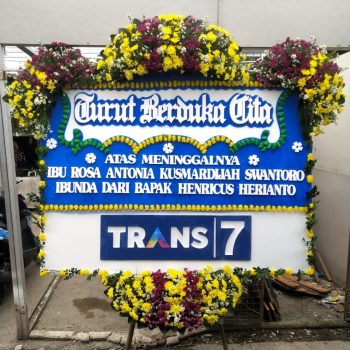 WhatsApp Image 2025-06-12 at 15.10.53 (2)