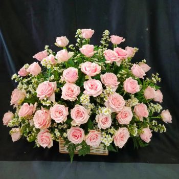 WhatsApp Image 2025-06-12 at 15.11.08 (1)