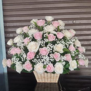 WhatsApp Image 2025-06-12 at 15.11.08 (2)