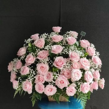 WhatsApp Image 2025-06-12 at 15.11.09 (2)