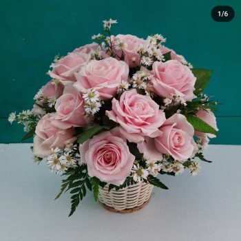 WhatsApp Image 2025-06-12 at 15.11.09