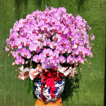 WhatsApp Image 2025-06-12 at 15.12.16