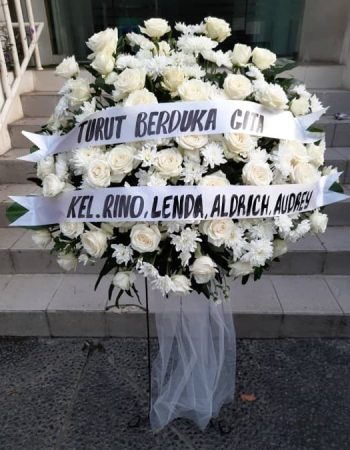 WhatsApp Image 2025-06-12 at 17.33.51 (1)