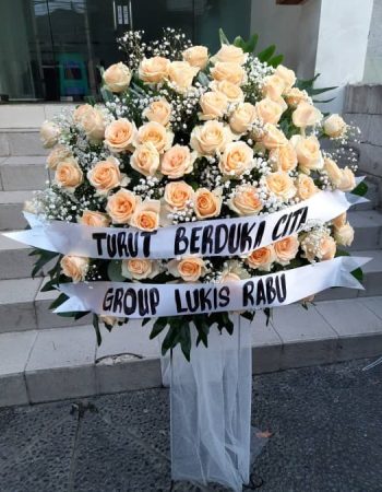 WhatsApp Image 2025-06-12 at 17.33.51