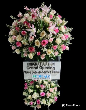 WhatsApp Image 2025-06-12 at 17.33.53 (1)