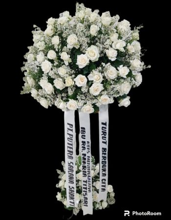 WhatsApp Image 2025-06-12 at 17.33.53 (2)