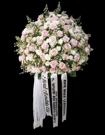 WhatsApp Image 2025-06-12 at 17.33.54 (2)