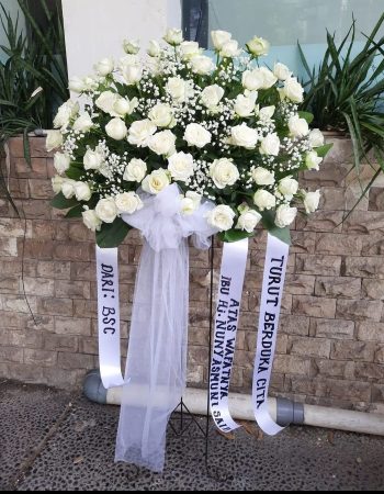 WhatsApp Image 2025-06-12 at 17.33.56