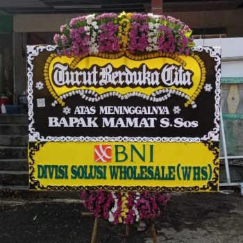 WhatsApp Image 2025-06-12 at 17.34.15 (1)