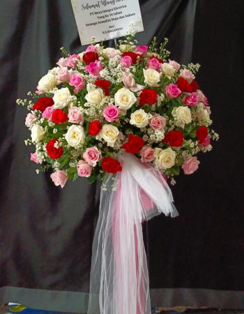 WhatsApp Image 2025-06-12 at 17.34.46 (1)