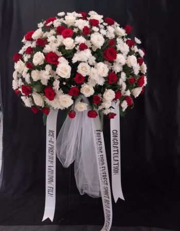 WhatsApp Image 2025-06-12 at 17.34.46 (2)