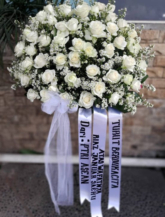 WhatsApp Image 2025-06-12 at 17.34.47