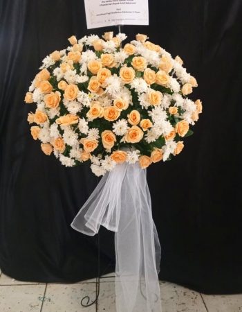 WhatsApp Image 2025-06-12 at 17.34.51 (1)