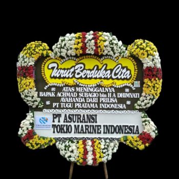 WhatsApp Image 2026-04-02 at 12.41.59 (1)