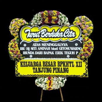 WhatsApp Image 2026-04-02 at 12.41.59