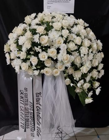 WhatsApp Image 2026-04-02 at 12.49.59