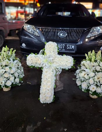 WhatsApp Image 2026-04-02 at 12.50.01 (1)