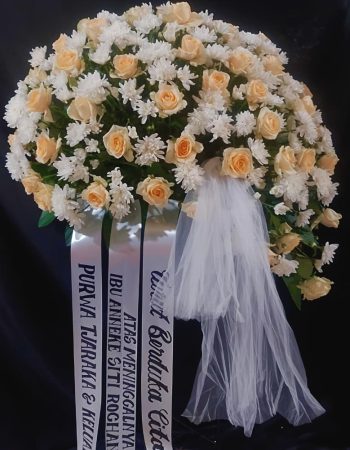 WhatsApp Image 2026-04-02 at 12.50.09