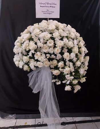 WhatsApp Image 2026-04-02 at 12.50.11 (1)