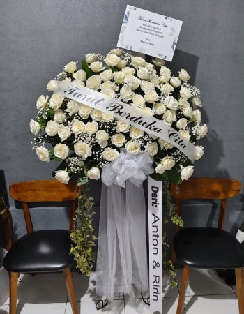 WhatsApp Image 2026-04-02 at 12.50.14 (1)