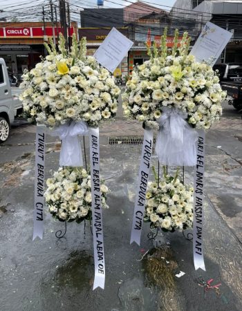 WhatsApp Image 2026-04-02 at 12.50.14