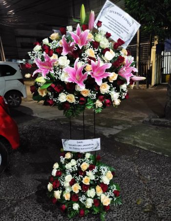 WhatsApp Image 2026-04-02 at 12.53.24