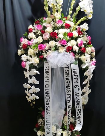 WhatsApp Image 2026-04-02 at 12.53.34 (1)