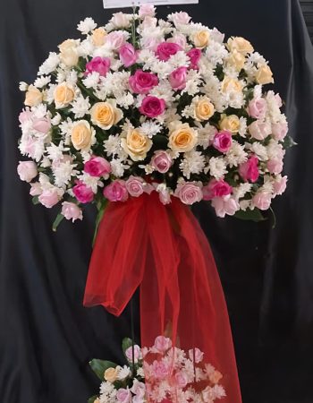 WhatsApp Image 2026-04-02 at 12.53.34