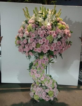 WhatsApp Image 2026-04-02 at 12.53.41 (1)