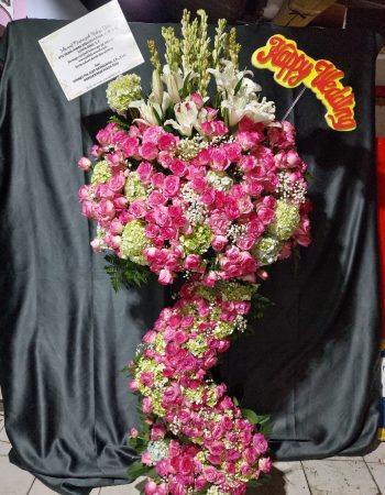 WhatsApp Image 2026-04-02 at 12.53.41