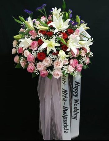 WhatsApp Image 2026-04-02 at 12.53.42