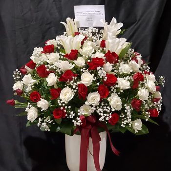 WhatsApp Image 2026-04-02 at 12.57.32