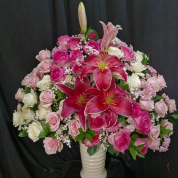 WhatsApp Image 2026-04-02 at 12.57.35