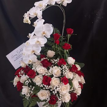 WhatsApp Image 2026-04-02 at 12.57.36