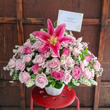 WhatsApp Image 2026-04-02 at 12.57.39 (1)