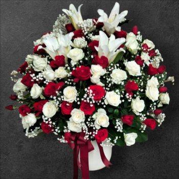 WhatsApp Image 2026-04-02 at 12.57.39