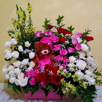 WhatsApp Image 2026-04-02 at 12.57.40 (1)