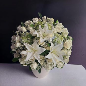 WhatsApp Image 2026-04-02 at 12.57.40