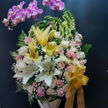 WhatsApp Image 2026-04-02 at 12.57.41 (1)