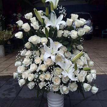 WhatsApp Image 2026-04-02 at 12.57.41