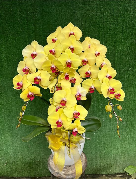 WhatsApp Image 2026-04-02 at 13.02.04 (1)