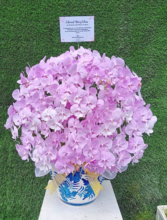 WhatsApp Image 2026-04-02 at 13.02.14