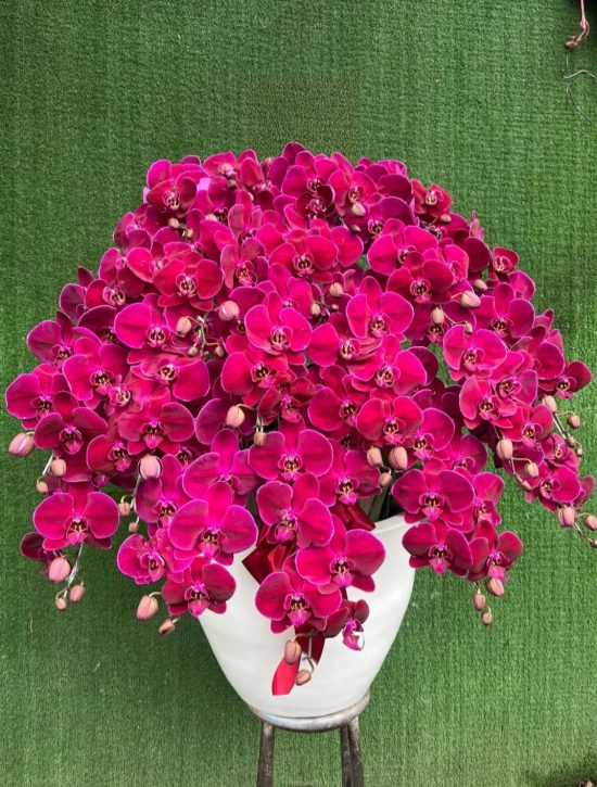 WhatsApp Image 2026-04-02 at 13.02.25 (1)