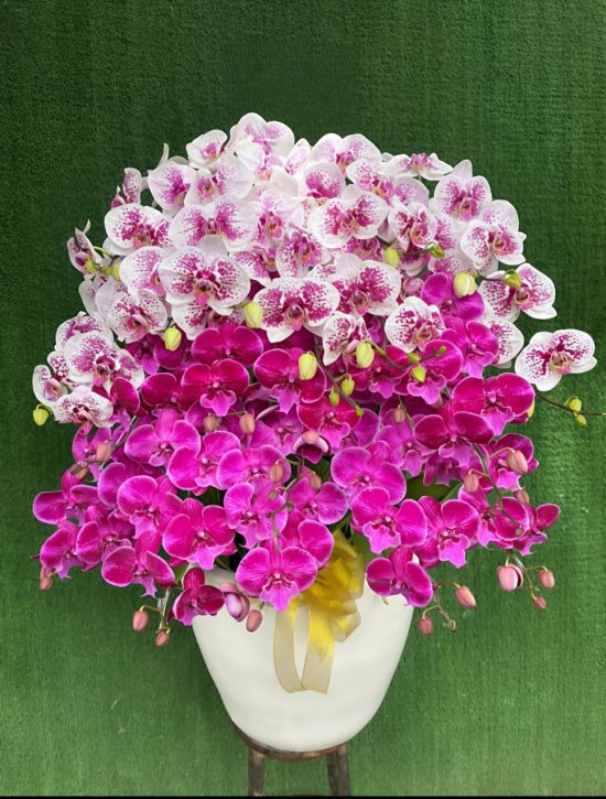 WhatsApp Image 2026-04-02 at 13.02.26 (1)