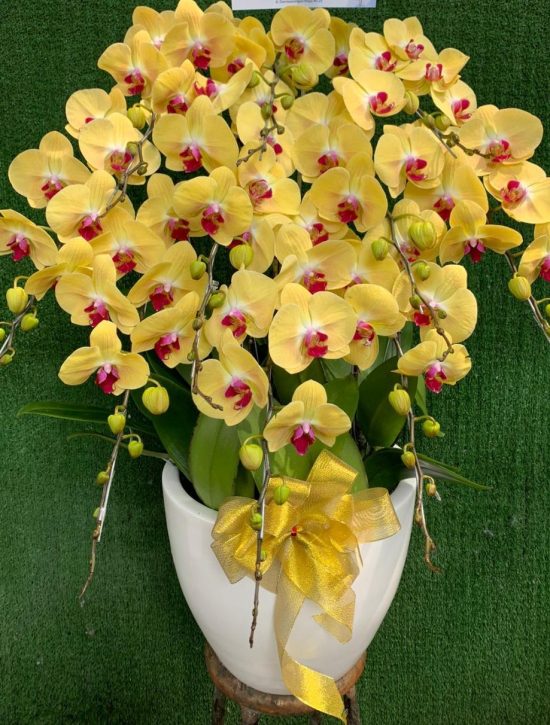 WhatsApp Image 2026-04-02 at 13.02.29 (1)