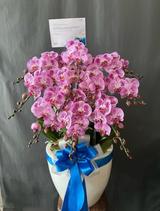 WhatsApp Image 2026-04-02 at 13.02.29