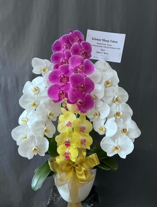 WhatsApp Image 2026-04-02 at 13.02.30 (1)