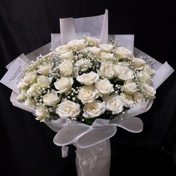 WhatsApp Image 2026-04-02 at 13.05.12