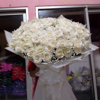 WhatsApp Image 2026-04-02 at 13.05.19