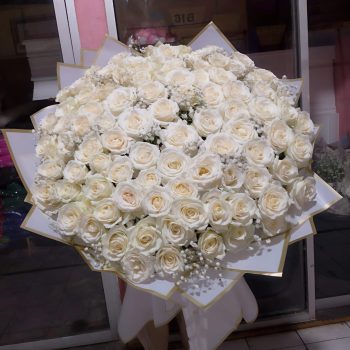 WhatsApp Image 2026-04-02 at 13.05.32 (1)